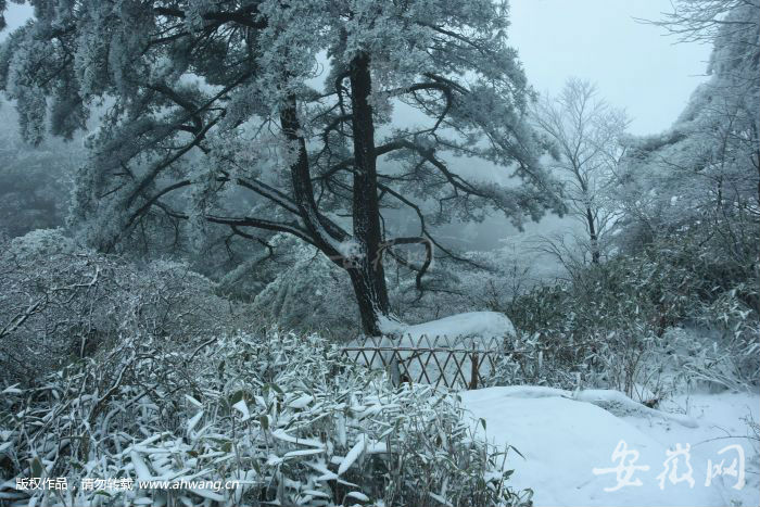 戴好帽子赏雪景黄山